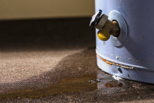 Best Flood restoration services  in Pine Bluff, AR
