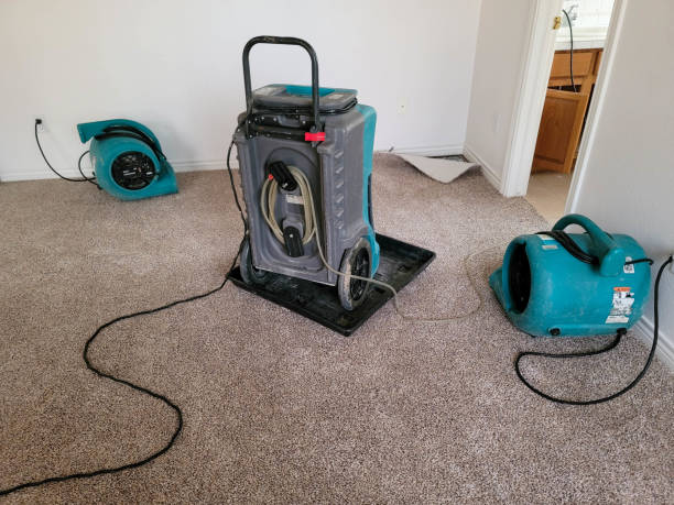 Trusted AR Water damage restoration Experts