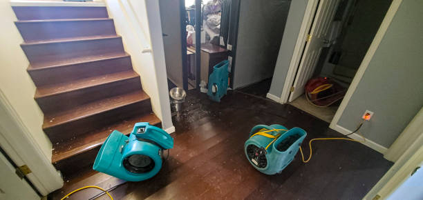 Best Basement water damage restoration  in Pine Bluff, AR