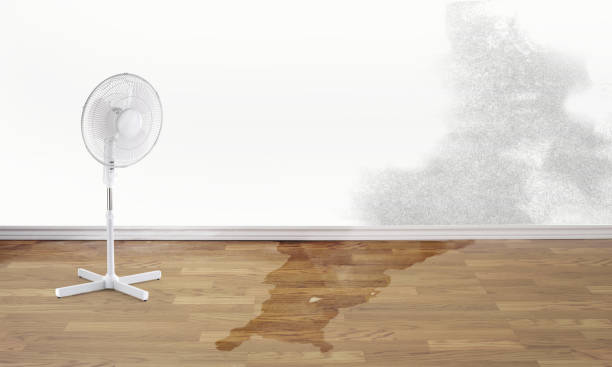 Best Commercial water damage restoration  in Pine Bluff, AR