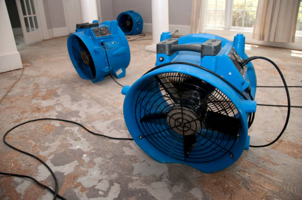 Best Emergency water damage restoration  in Pine Bluff, AR