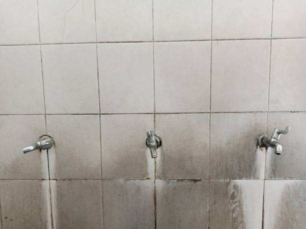 Best Emergency water damage restoration  in Pine Bluff, AR