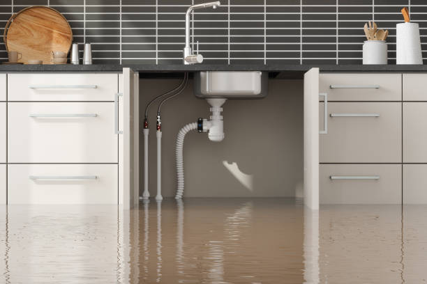  Pine Bluff, AR Water damage restoration Pros