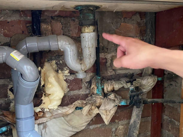 Best Sewage cleanup and water damage restoration  in Pine Bluff, AR