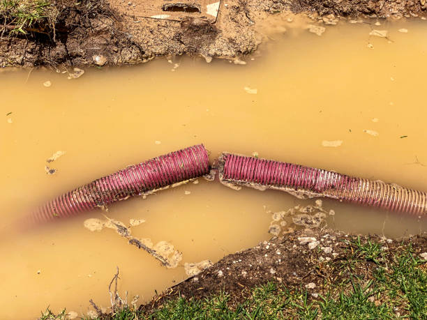 Best 24/7 water damage repair  in Pine Bluff, AR