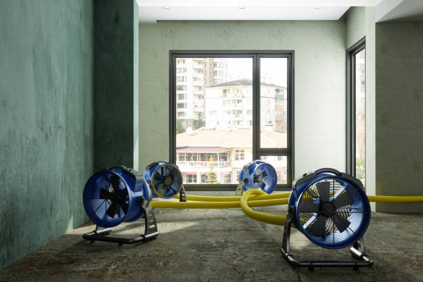Best Carpet water damage restoration  in Pine Bluff, AR